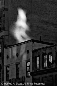 Shadow-Play #1