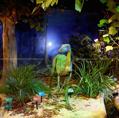 HD_SL-24 - Display at Academy of Natural Sciences in Philadelphia, PA. HD_SL-24 - Display at Academy of Natural Sciences in Philadelphia, PA.