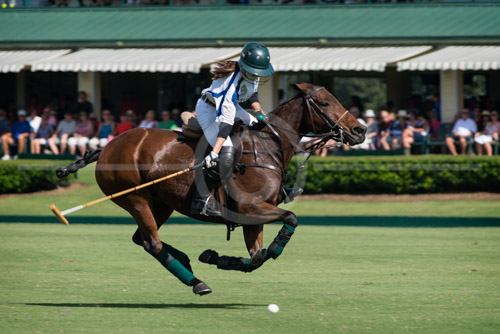 HD_P-22 - Paige Boone of McLin Burnsed team sets up a shot on goal at a Polo match at the Villages Polo Club on October 25, 2015 vs Morgan Stanley. HD_P-22 - Paige Boone of McLin Burnsed team sets up a shot on goal at a Polo match at the Villages Polo Club on October 25, 2015 vs Morgan Stanley.