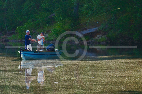 HD_P-25 - 7:36 am. Little Seneca Lake, Germantown, MD. I noticed this particular boat near the shoreline of the lake, backlit by the sun. Got off several shots, but this was the best as I was able to catch the lure and fishing line as it was being cast. HD_P-25 - 7:36 am. Little Seneca Lake, Germantown, MD. I noticed this particular boat near the shoreline of the lake, backlit by the sun. Got off several shots, but this was the best as I was able to catch the lure and fishing line as it was being cast.