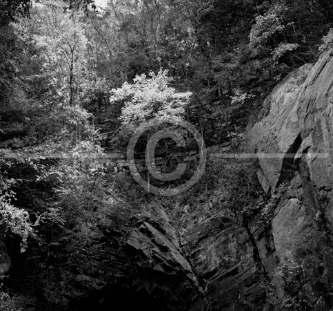 HD_STBW-41 - Fall Folliage over north portal of St Mary's Rock Tunnel along the Skyline Drive in Shenendoah National Park.