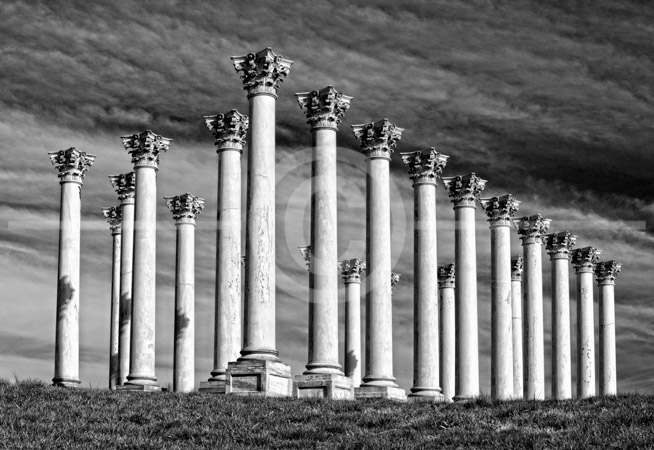 HD_STBW-74 - Original U.S. Capitol Columns on display at the U.S. National Arboretum in Washington, D.C. HD_STBW-74 - Original U.S. Capitol Columns on display at the U.S. National Arboretum in Washington, D.C.