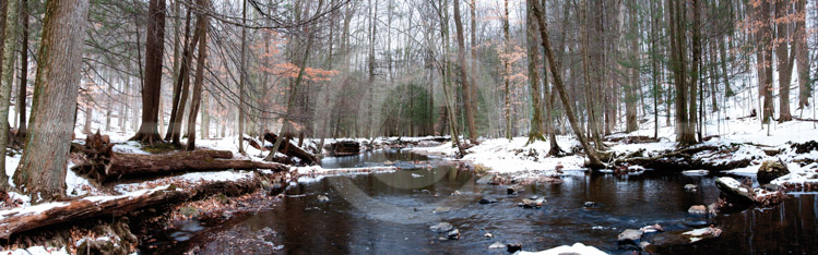 HD_STC-101 - Creek in Catoctin Park in Frederick County, Maryland on a snowy day in January.